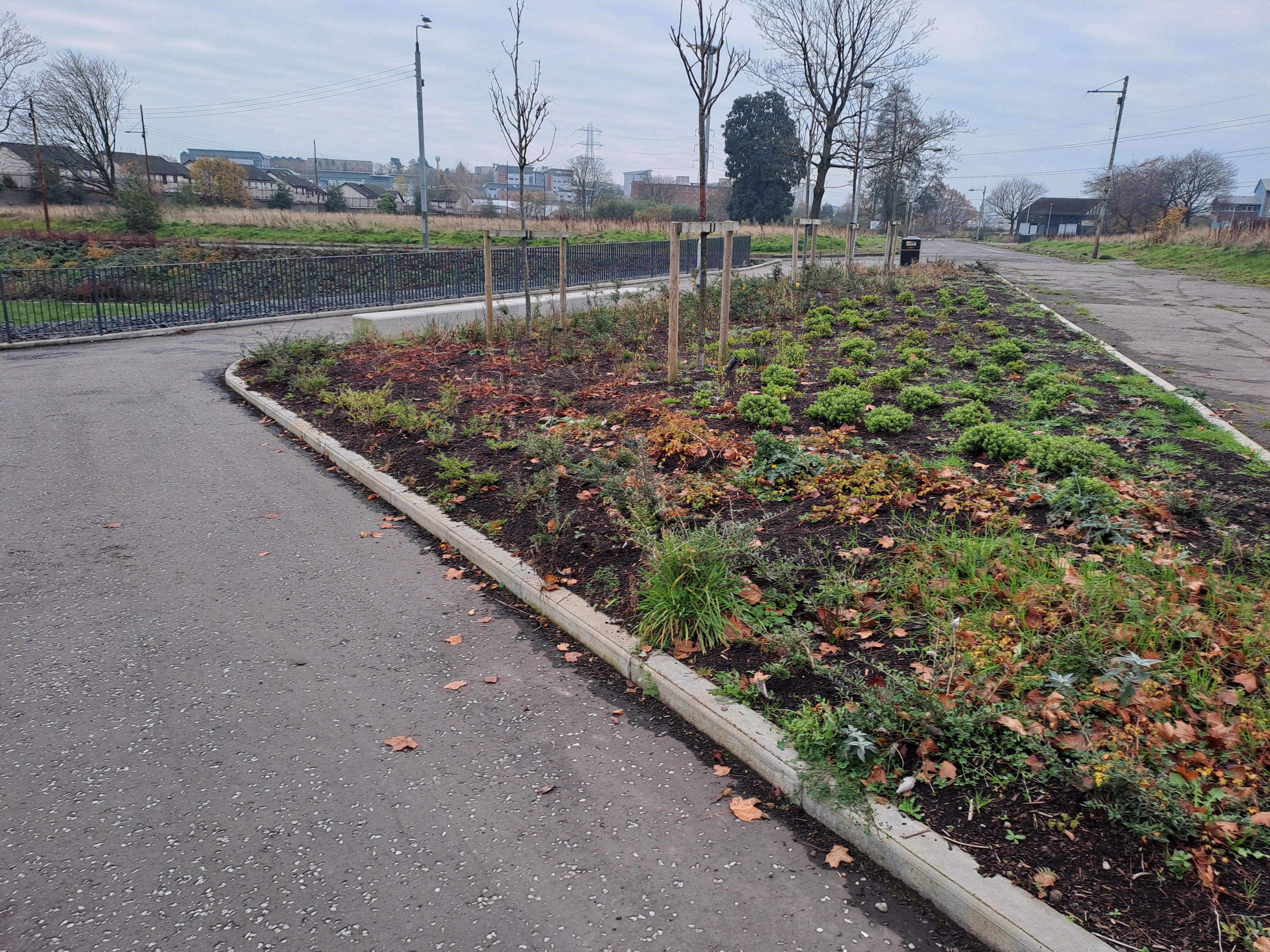 Hamiltonhill Green Infrastructure works tranquil space