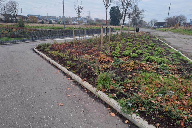 Hamiltonhill Green Infrastructure works tranquil space